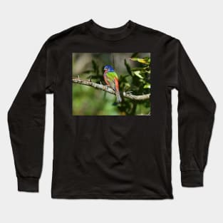 Painted Bunting Bird Photograph Notecard Long Sleeve T-Shirt